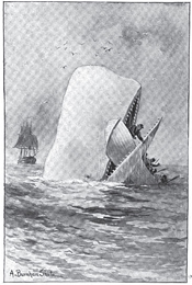 Moby Dick
